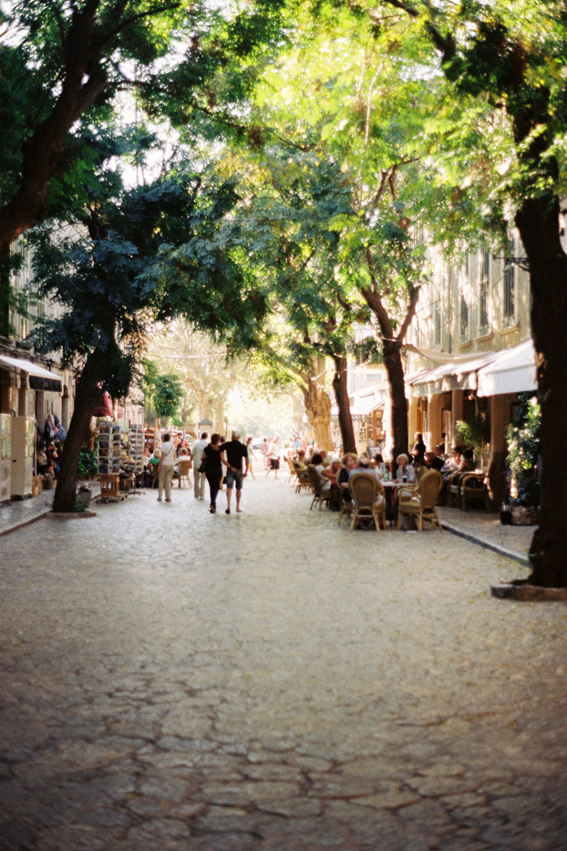 una tarde en Valldemossa…