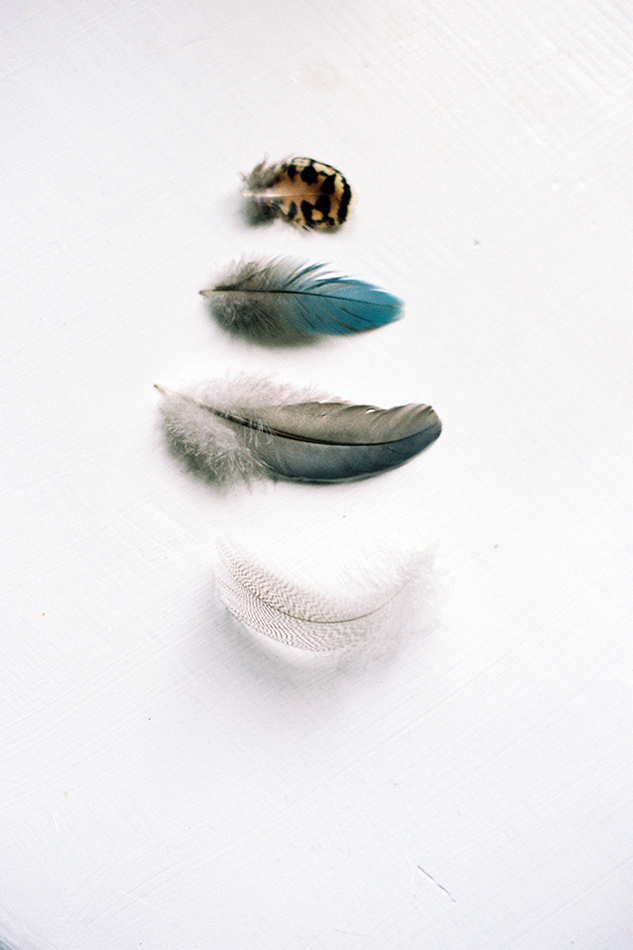 my little world on film