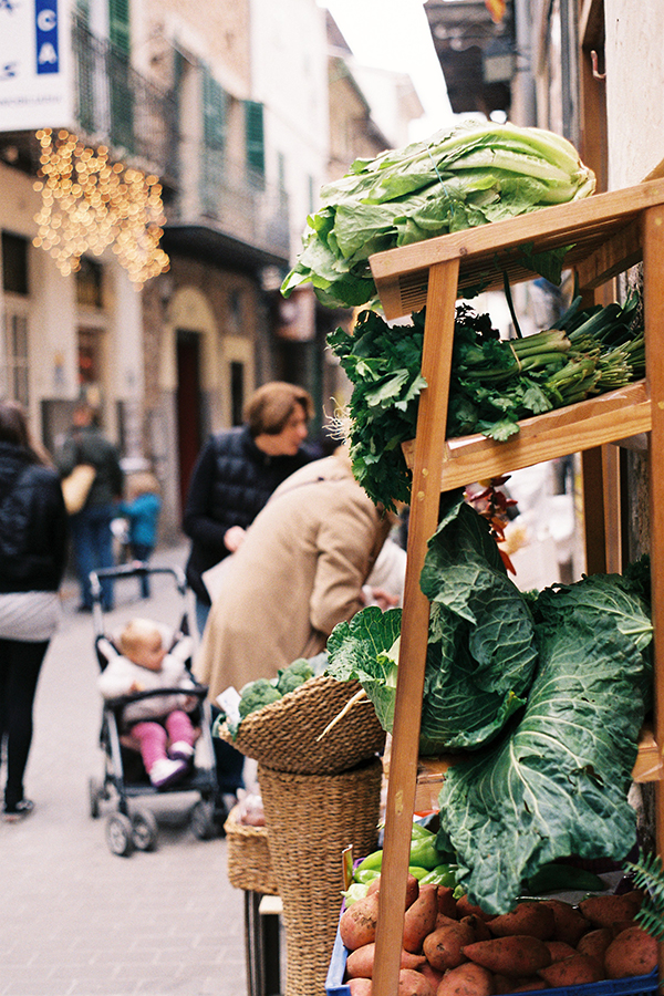 excursión a Sóller y Fornalutx