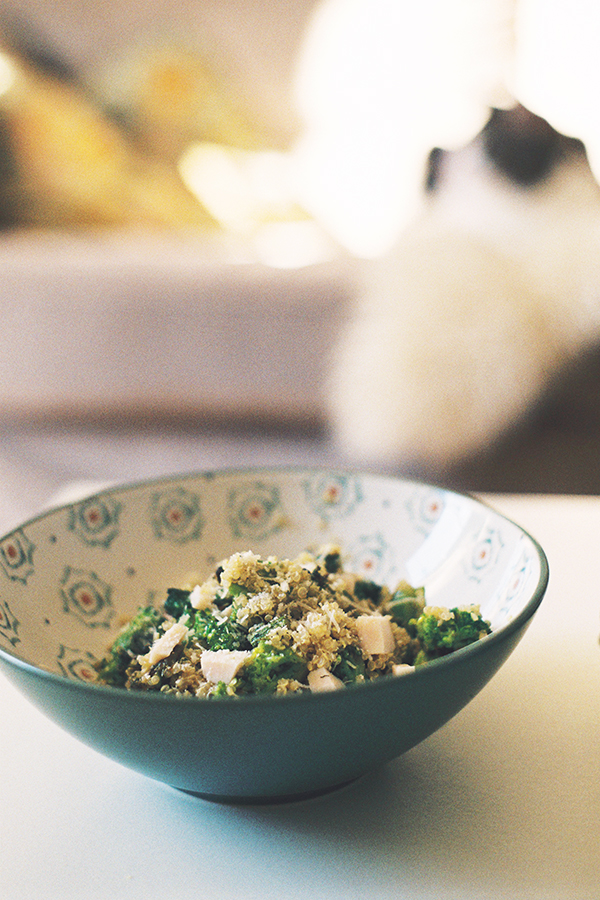 QUINOA+BRÓCOLI+ PECHUGA DE PAVO+ QUESO PARMESANO