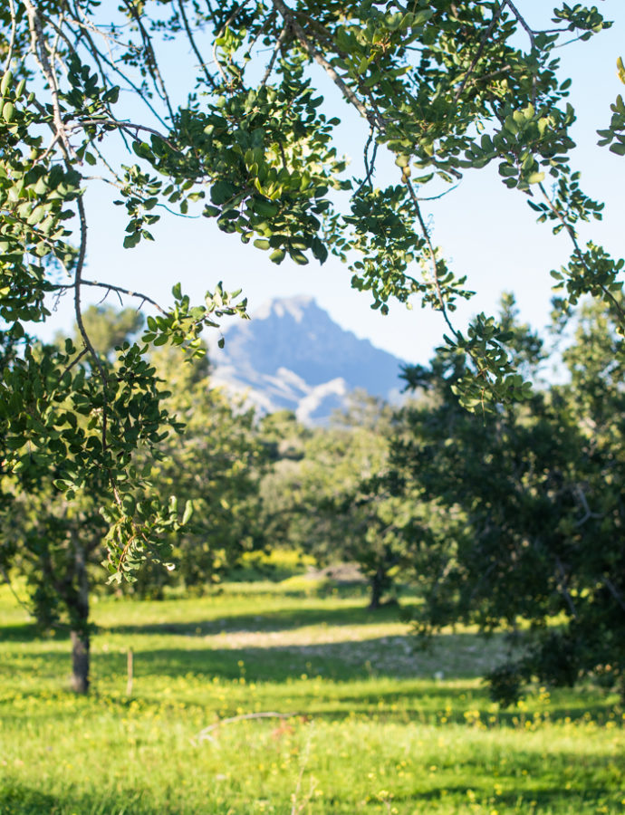 Un Paseo por Es Capdella